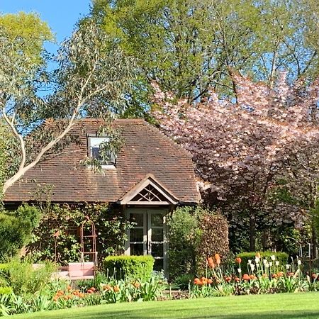 Bootmenders B&B Petersfield Zewnętrze zdjęcie
